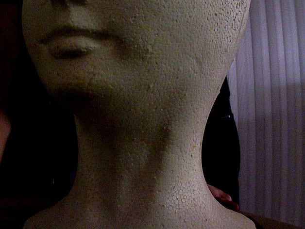 Foam Bust by martywasserman