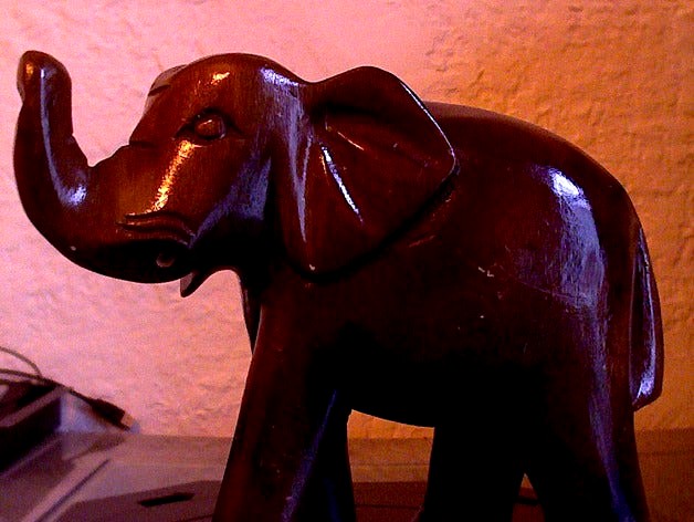 Elephant Scan by rtdoerr