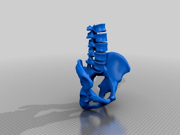 Lumbar vertebrae multi material by hjorthmobile