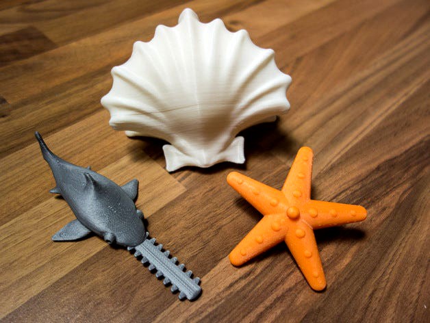 Spinning Toy: Starfish, Sawfish, Shellfish by jppeter