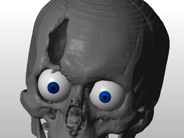 CSI style Skull created from CT scan images by MakerBeck