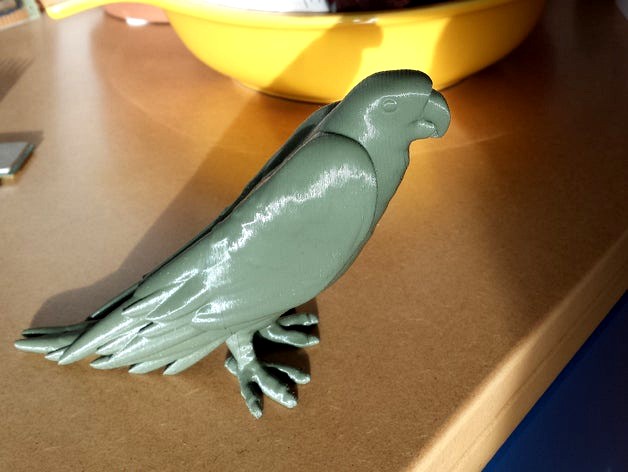 Parrot by jigs