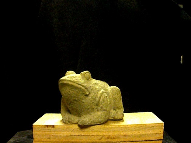 Tiny Frog by tbuser