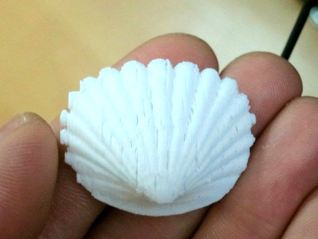 Clam seashell by GoblinAlchemist