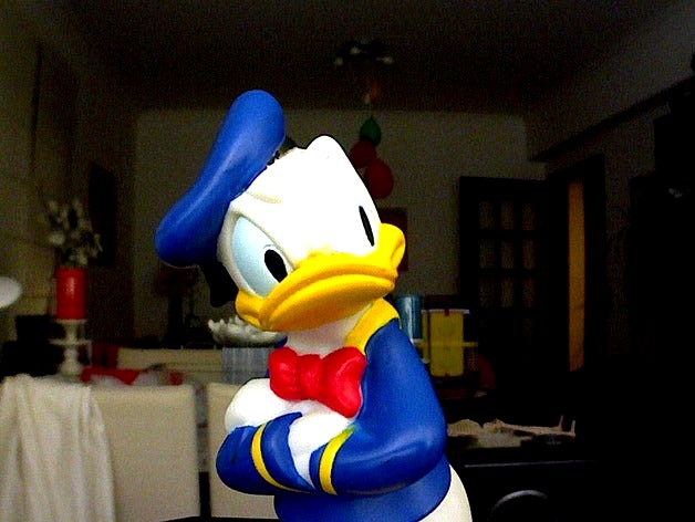 Donald by PauloAmaral