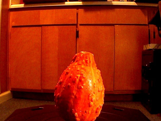 Golden nugget squash 2013-10-29 01.14 PM by daniel_nelms