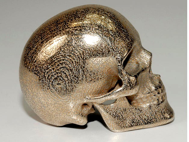 Human Skull by camazine