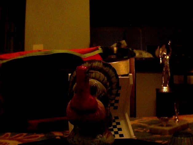 Tom Turkey by jlawton