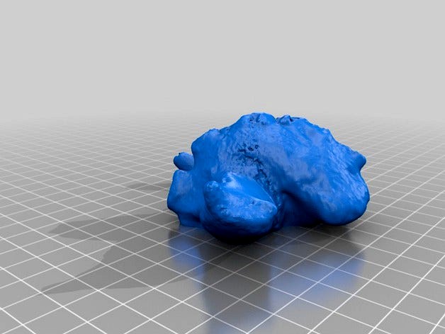 Fossil Snail (Kerunia) by geofablab