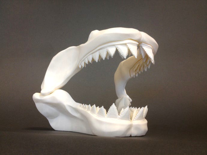 Great White Skull by MakerBot
