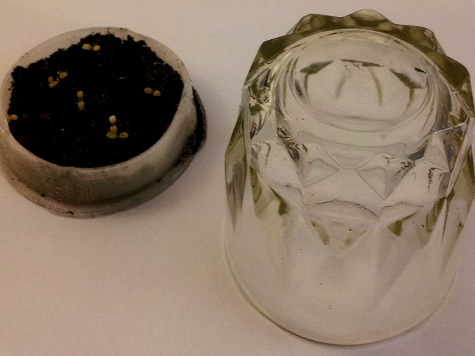 Terrarium - with Customiser by a111111