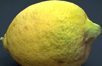Lemon 3D Model