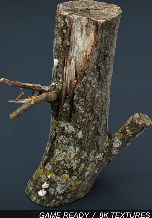 Wood Log 3 3D Model