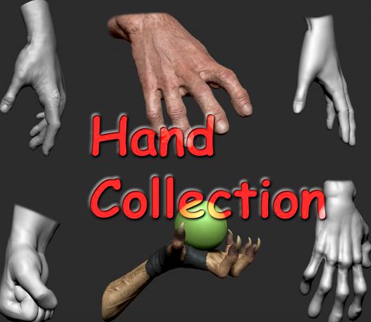 Hand Collection 3D Model