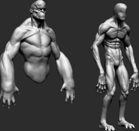 Body Forms 3D Model