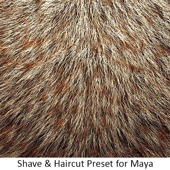 Shave Animal Fur4