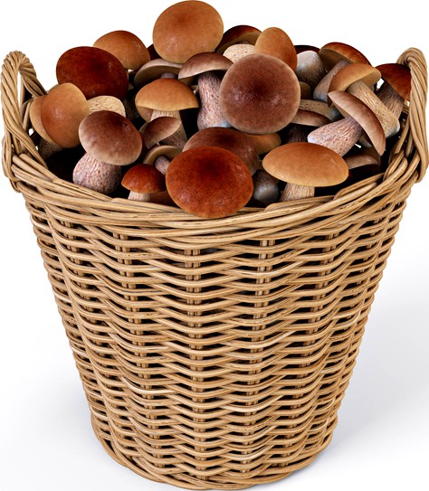 Wicker Basket Ikea Nipprig with Mushrooms