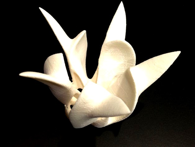 Egg flower by chrisniederer