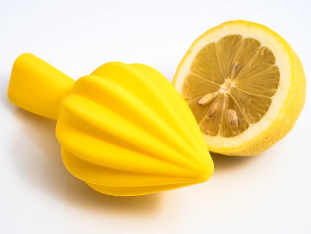Citrus Juicer by walter