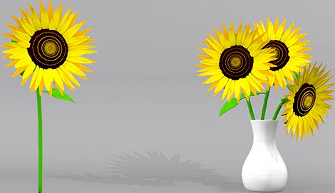 Sunflower and Sunflowers with Pots 3D Model