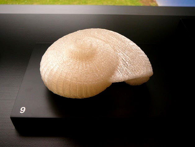 Giant snail shell by HollowaySmith