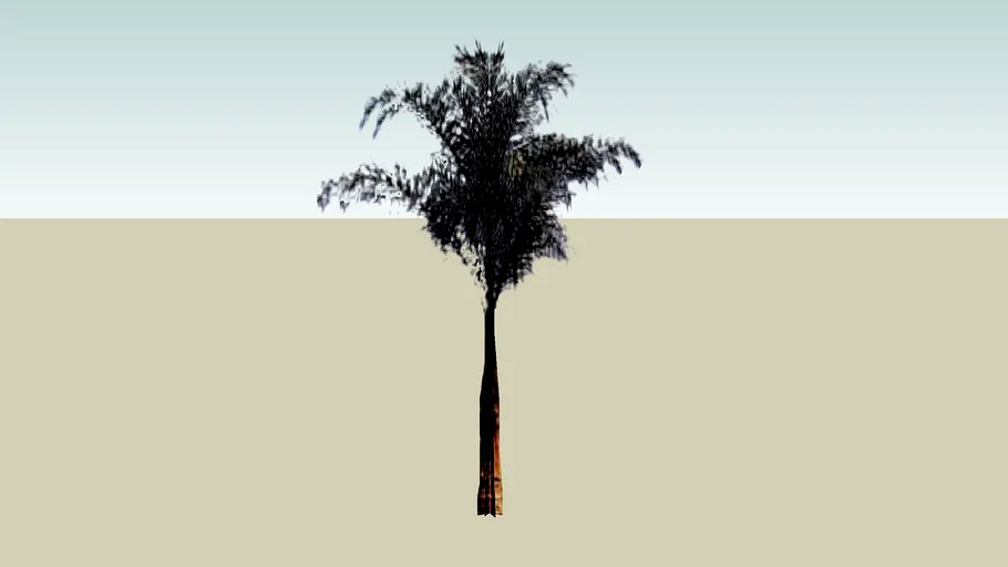 Coqueiro