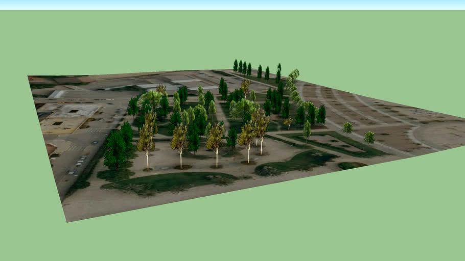 arboles parc central