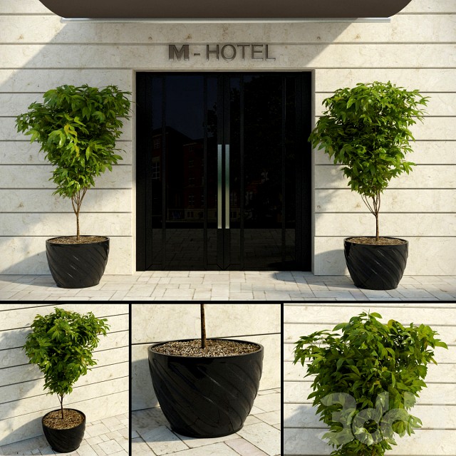 Hotel Foliage