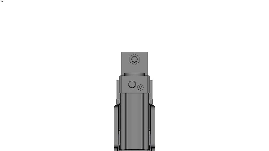 PDG