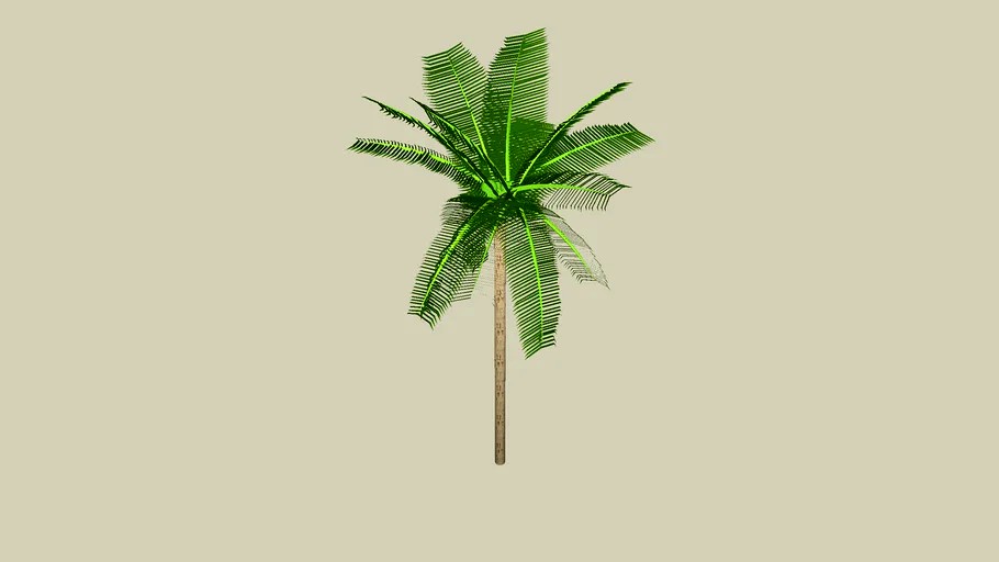 coqueiro