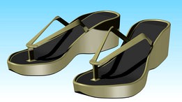 Flip Flop Shoes