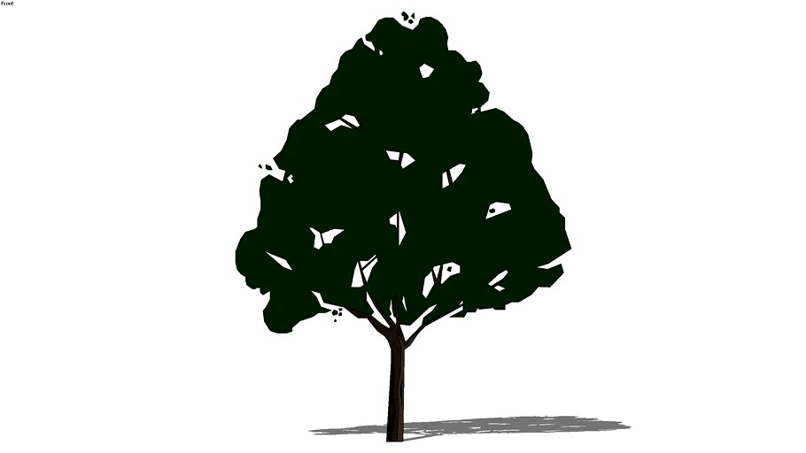 2D schematic juniper tree