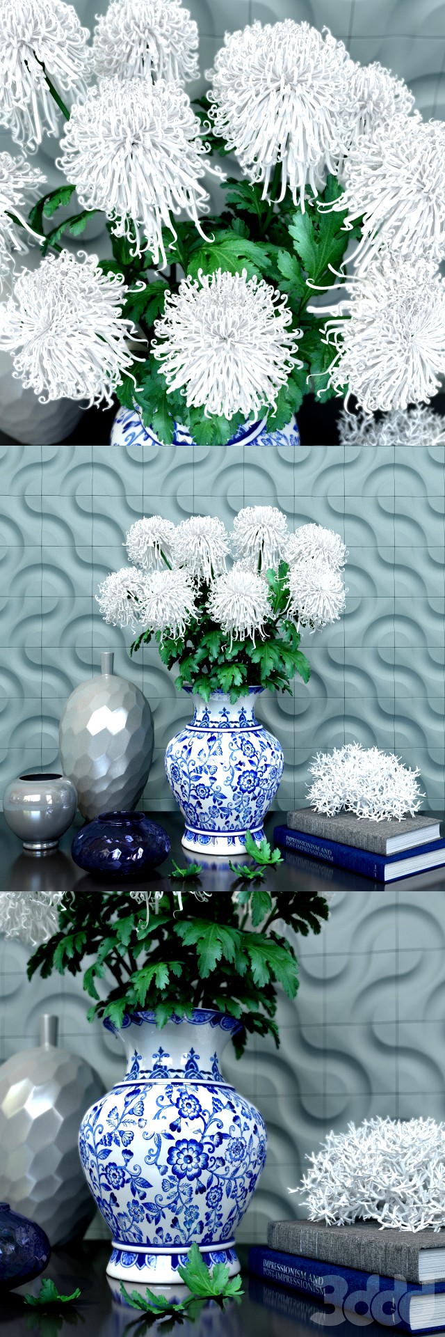 Chrysanthemum curly