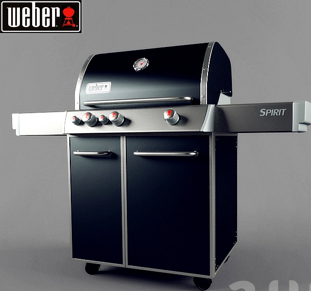 WEBER SPIRIT