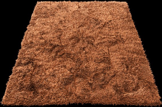 Carpet