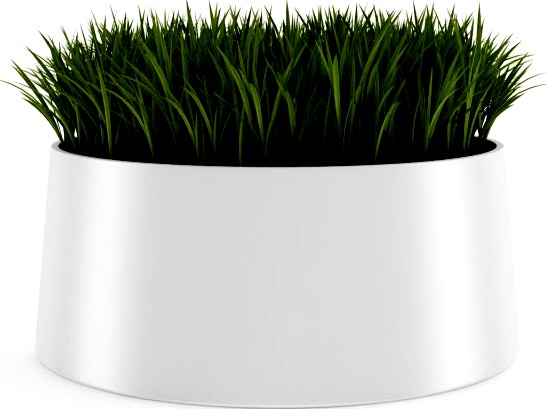 Decorative Grass 3D Model
