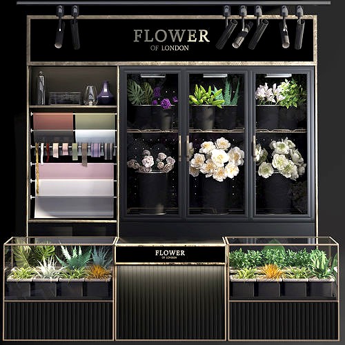 Refrigerated display for flowers-florist-flower shop decor set