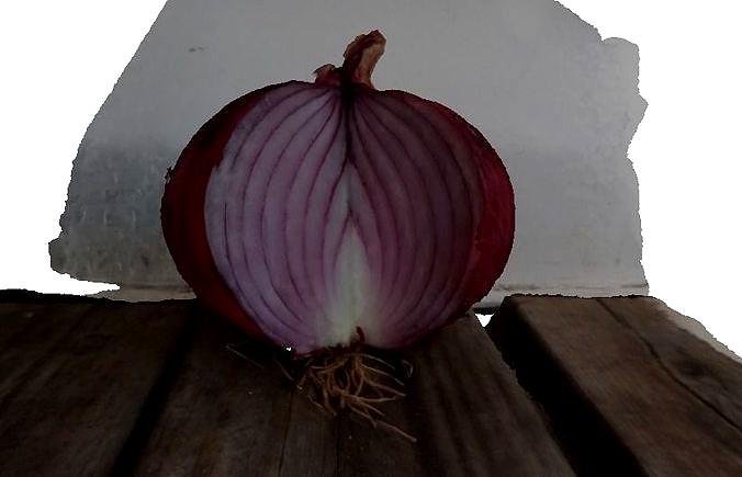 onion