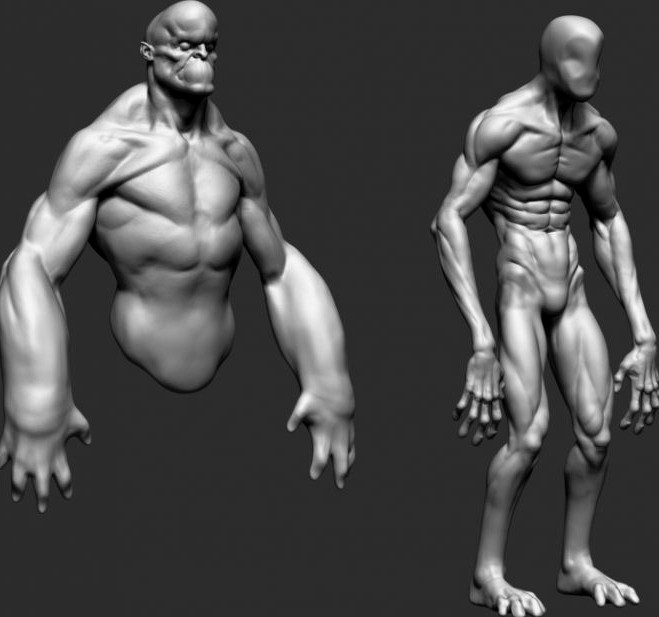 Body Forms3d model
