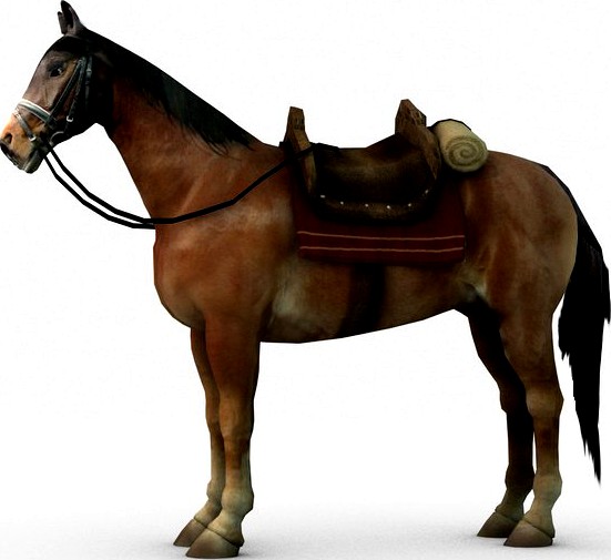 Horse with saddle3d model