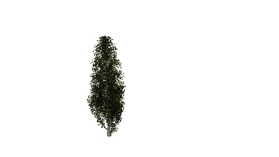 tree12
