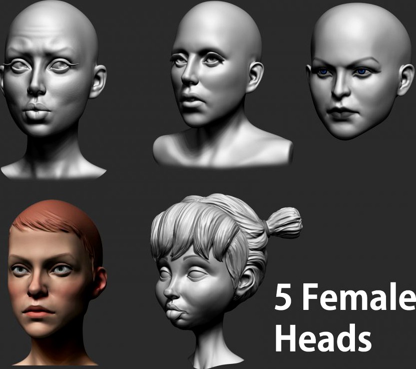 Female Heads3d model