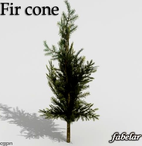 Fir3d model