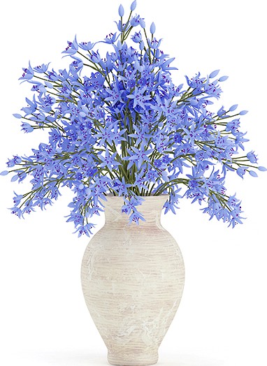 Blue Flowers in Ceramic Vase