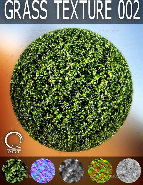 Grass Textures 002
