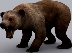 BEAR fbx only