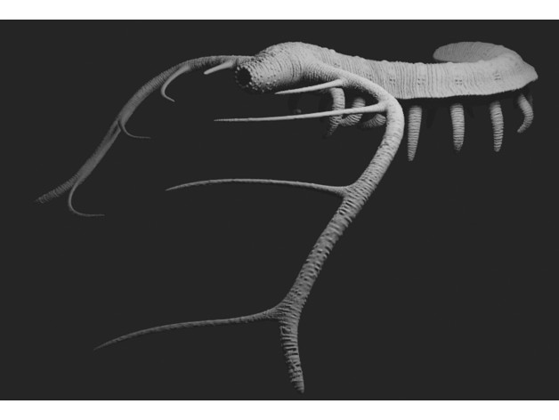 Hadranax augustus by Prehistorica