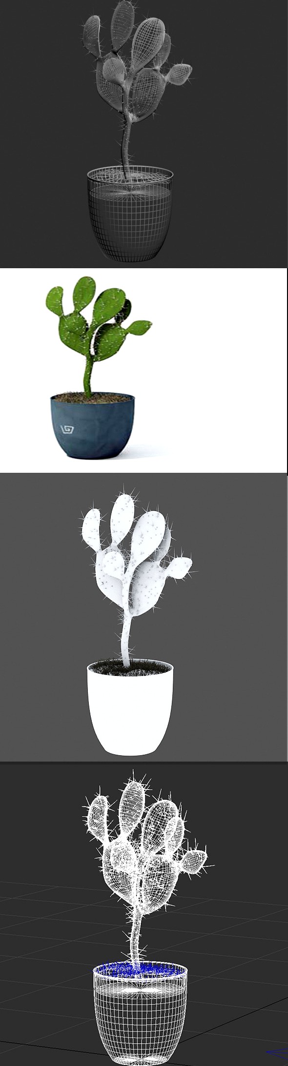 3D Cactus pot plant model 3