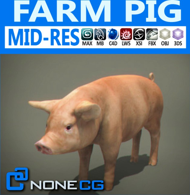 Pig
