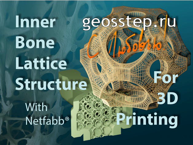 Inner Bone Lattice Structure by 1geos